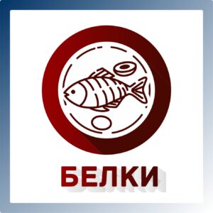 Белки: строительный материал или биохимическая рулетка?