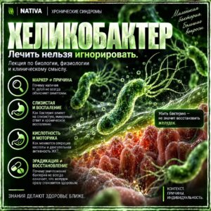 Хеликобактер (Лекция по биологии, физиологии и клиническому смыслу)