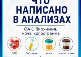Что написано в анализах